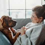 Köpeklerde Mantar Hastalığı Neden Olur? Tedavisi Nedir?